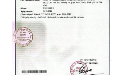 Năng lực và chứng nhận 